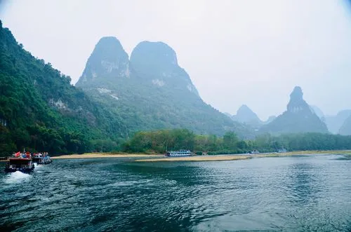 高效高标准全自动